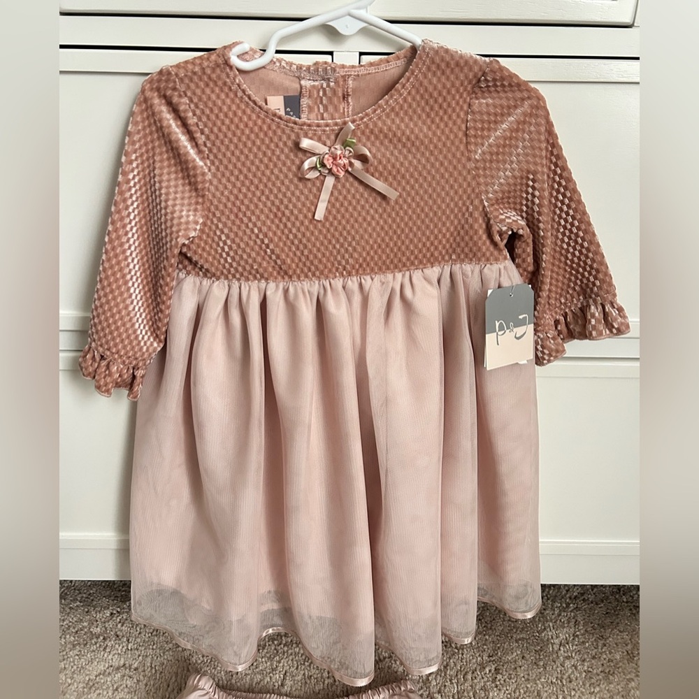 Pippa & Julie Blush pink long sleeve Dress 24M NWT